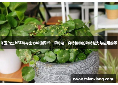 冬玉的生长环境与生态价值探析：探秘这一奇特植物的独特魅力与应用前景