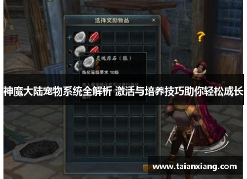 神魔大陆宠物系统全解析 激活与培养技巧助你轻松成长